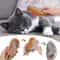 SteamGlow 3in1 Cat Grooming Brush For Shedding Massage Hair Removal 2