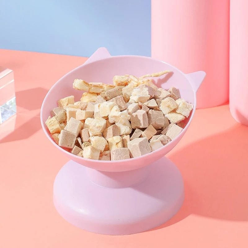 45 Elevated Cat Dog Bowl For Comfortable Feeding 10