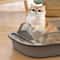 SplashGuard HighSided Cat Litter Box For Indoor Cats 1