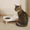 No Spill Pet Bowl With Elevated Double Feeder Stand 2