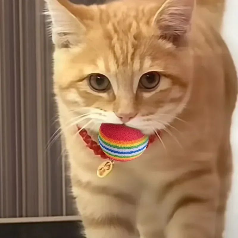 Rainbow Bounce Pet Toy Balls Soft EVA Interactive Cat Toys Dog Training Play Balls 2