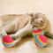 Rainbow Bounce Pet Toy Balls Soft EVA Interactive Cat Toys Dog Training Play Balls 3