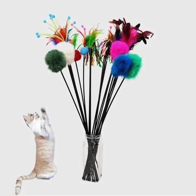 5Pack Cat Feather Wand Toys For Interactive Kitten Play 0