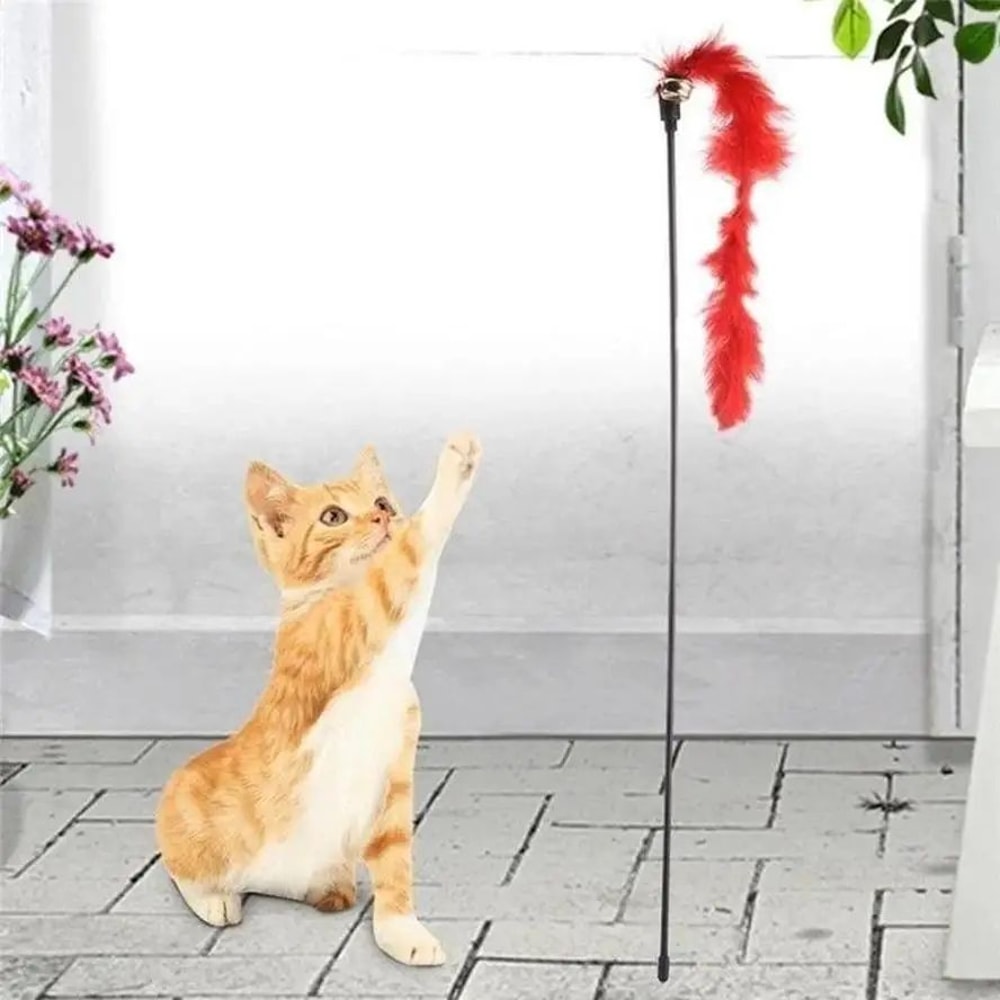 5Pack Cat Feather Wand Toys For Interactive Kitten Play 2