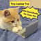 Mini Cat Laptop Toy With Mirror For Playful Kittens 0