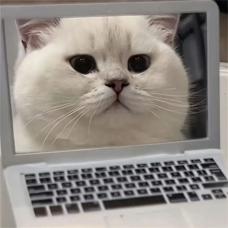 Mini Cat Laptop Toy With Mirror For Playful Kittens 4