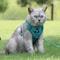 Reflective NoPull Cat Harness And Leash Set For Small Dogs Cats Adjustable Breathable Pet Vest 1