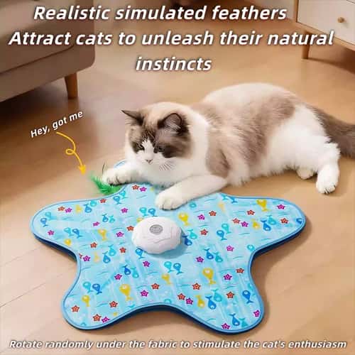 Interactive Cat Hunting Toy Blanket with Automatic Turntable Teaser for Indoor Cats