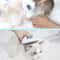 Gentle SelfCleaning Pet Hair Removal Brush For Dogs Cats Stainless Steel Dog Grooming Brush For S 2