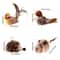 GiGwi Chirping Feather Cat Toy For Indoor Hunting Play 5