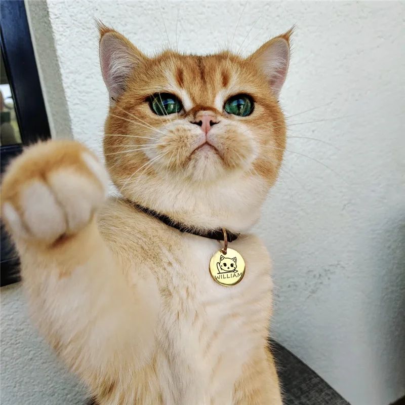 Custom Engraved Cat Face Pet ID Tag 8