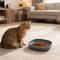 WhiskerEase Silicone Cat Feeding Plates Set 5