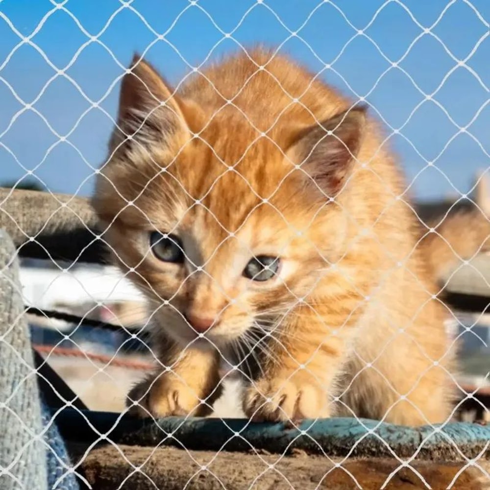 SecureView Balcony Pet Safety Net 3