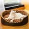 Cozy Dot Coral Fleece Cat Bed And Pet Cushion Mat 7