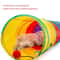 Rainbow Collapsible Cat Tunnel For Indoor Cats 3