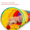 Rainbow Collapsible Cat Tunnel For Indoor Cats 3