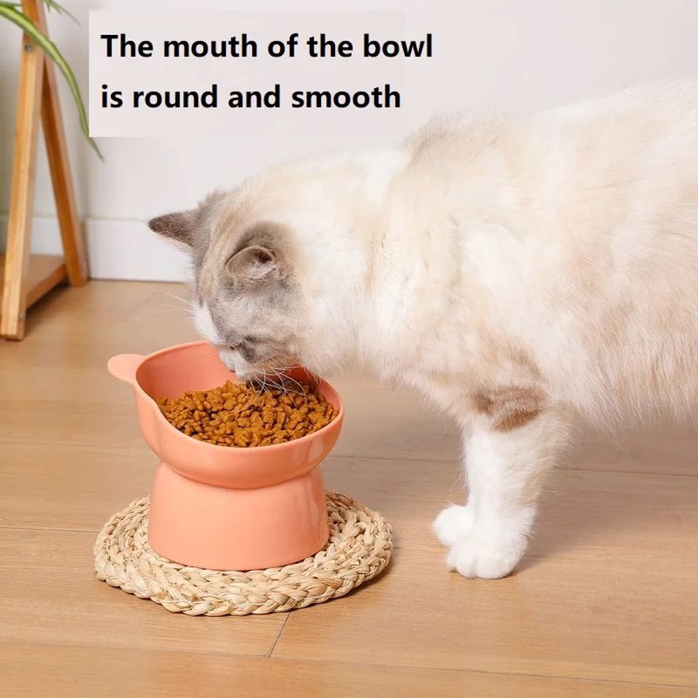 Elevated Tilted Cat Bowls For StressFree Feeding Hydration 1