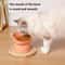 Elevated Tilted Cat Bowls For StressFree Feeding Hydration 1