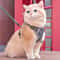 Escape Proof Cat Harness And Leash Set For Kittens And Cats 0