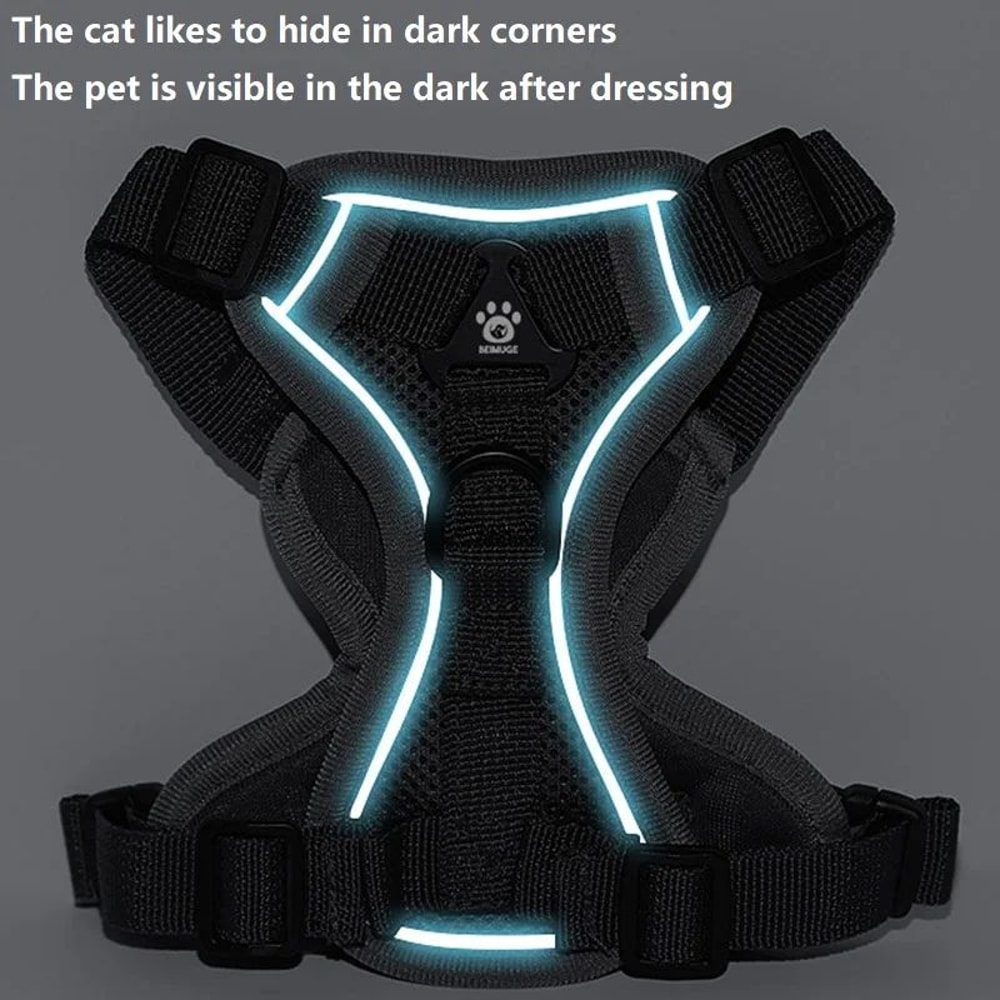 Escape Proof Cat Harness And Leash Set For Kittens And Cats 2