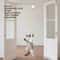 SmartLift Interactive Cat Hunting Toy For Indoor Cats 2