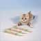 Natural Catnip Teeth Cleaning Chew Stick For Cats 2
