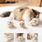 Quiet Wool Cat Ball Toys For Indoor Kitten Play 2