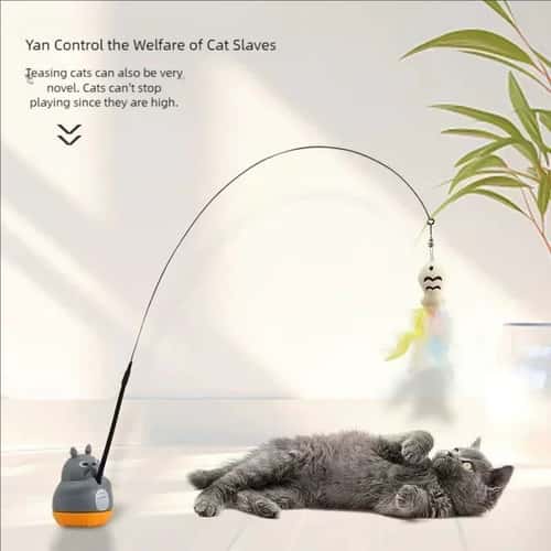 Rotating Dragon Totoro Cat Wand Toy with Bell & Fish Teaser