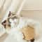 Interactive Sisal Cat Scratching Ball For Teeth Cleaning Play 1