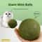 Jumbo Natural Catnip Ball Chew Toy For Indoor Cats 4