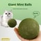 Jumbo Natural Catnip Ball Chew Toy For Indoor Cats 4