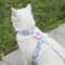 FlowerPaw Breathable Adjustable Pet Harness Leash Set For Cats And Small Dogs 0