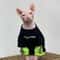 Cozy Cotton Sphynx Cat Sweatshirt For Winter Warmth 1