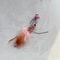 Interactive Bug Hunt Replacement Lures For Cat Wand Toys Plush Cat Teaser Refill Interactive Cat T 1