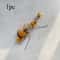 Interactive Bug Hunt Replacement Lures For Cat Wand Toys Plush Cat Teaser Refill Interactive Cat T 6
