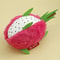 Dragon Fruit Catnip Cat Toy Plush Cat Chew Toy For Kittens 5