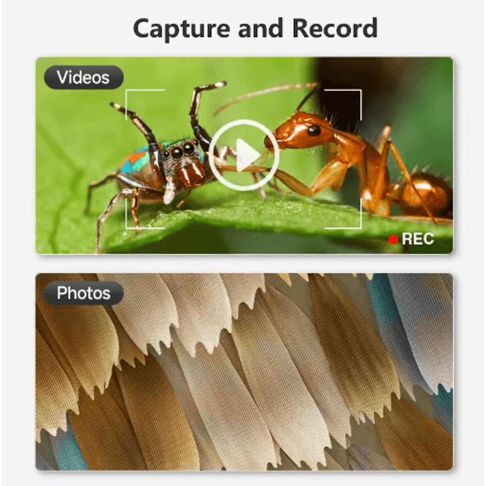 Hayve 1600X USB Digital Microscope 1080P HD Soldering Microscope With 8 LED Lights 5