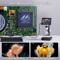 1000X LCD Digital Microscope 43 1080P USB Video Microscope With 8 LED Lights 5