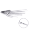 Surgical Ear Forceps Dressing Tweezers Curved Toothed ENT Medical Instrument 6