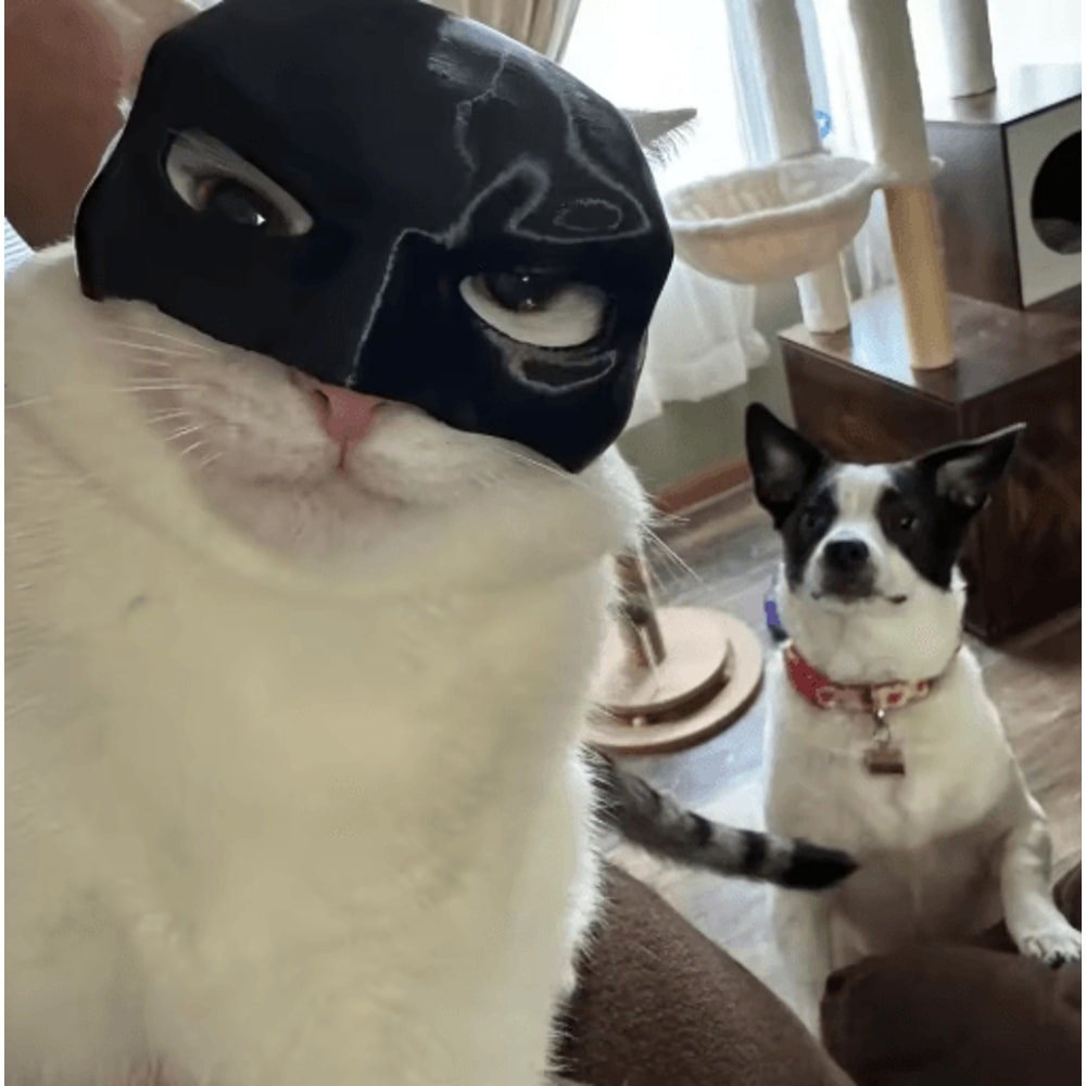 Cat Bat Superhero Mask Cute Matte Cat Avenger Costume Mask For Pets 10