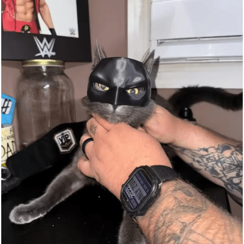 Cat Bat Superhero Mask Cute Matte Cat Avenger Costume Mask For Pets 13