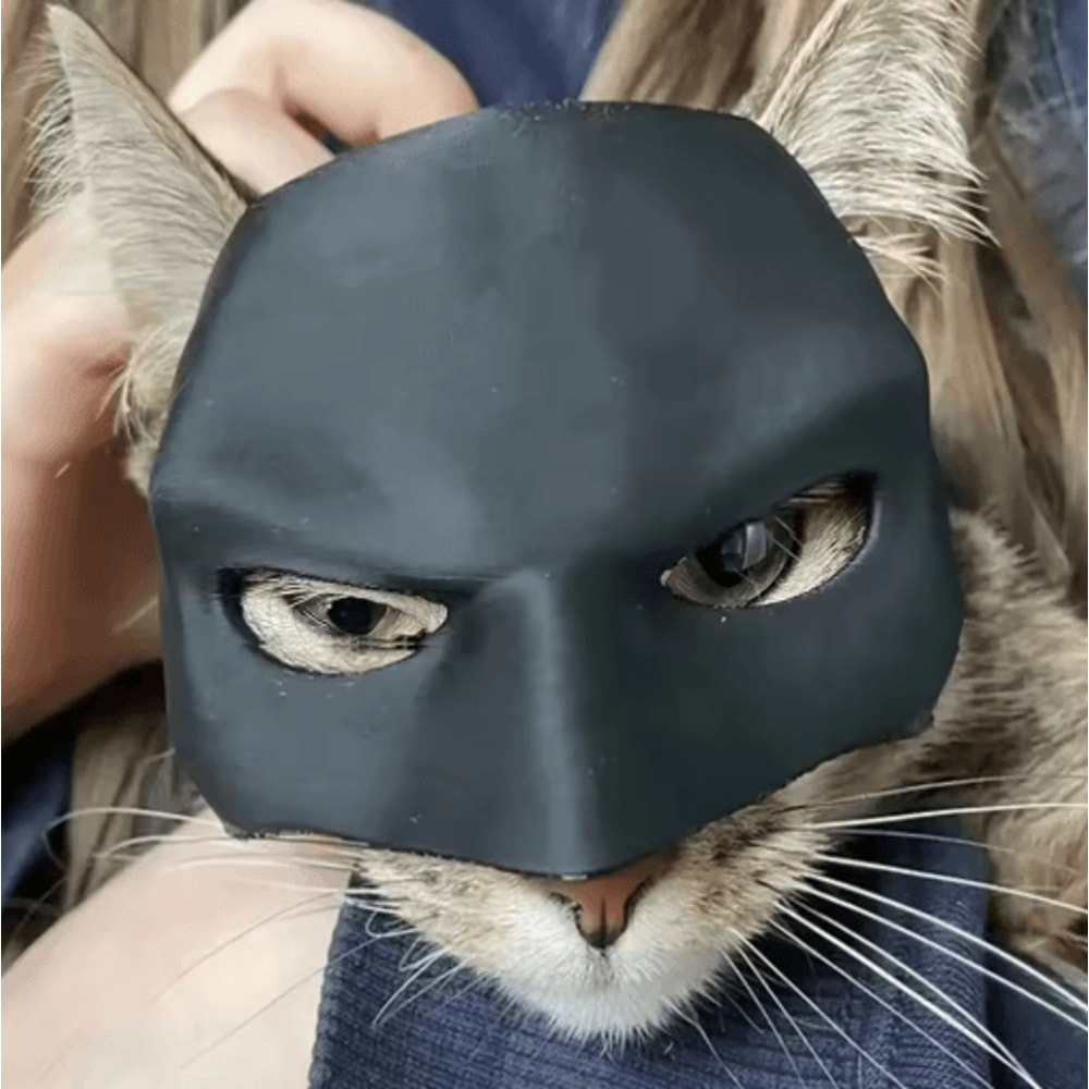 Cat Bat Superhero Mask Cute Matte Cat Avenger Costume Mask For Pets 0