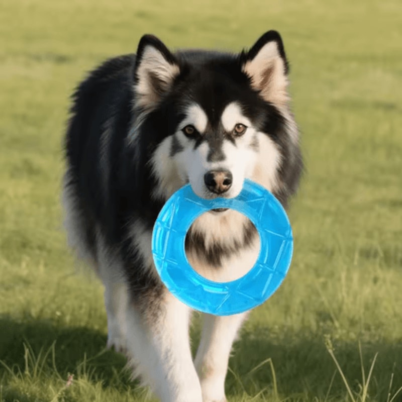 Pet Cooling Chew Toy Freezable Ice Cube Puppy Teething And Training Toy 2