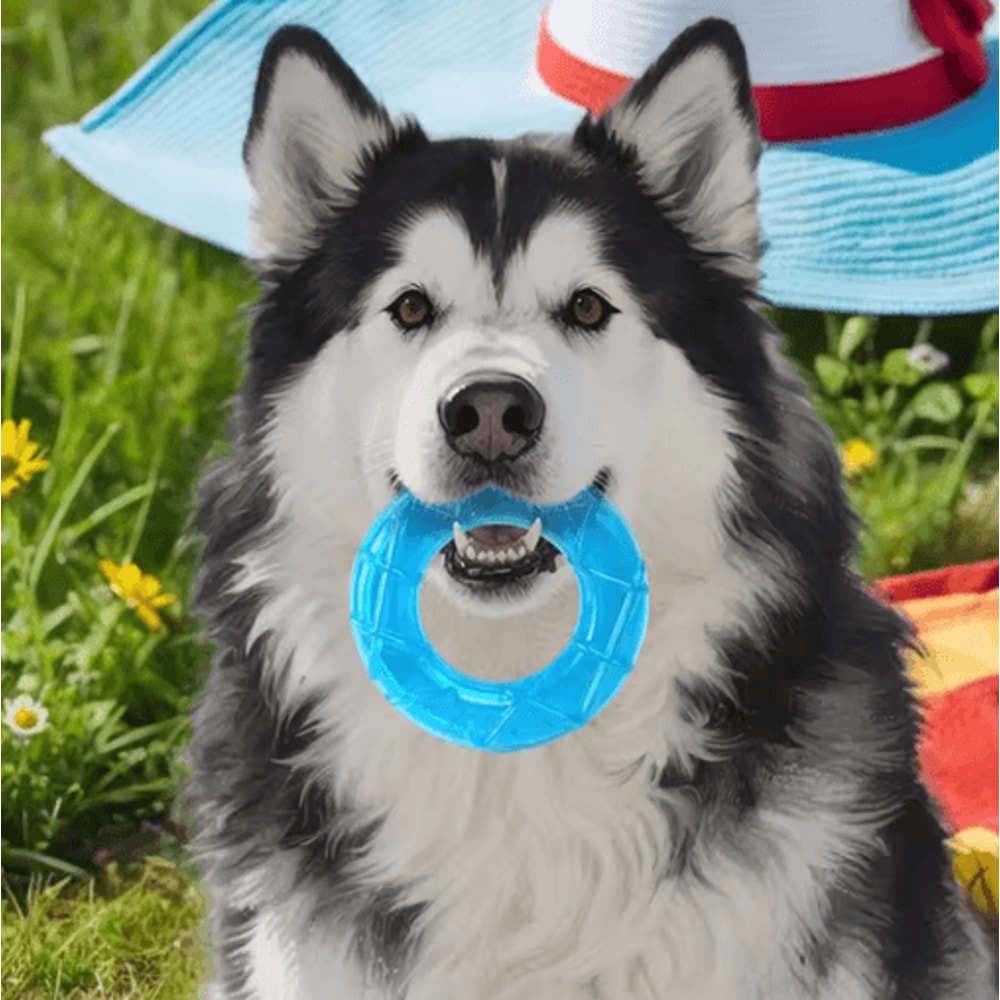 Pet Cooling Chew Toy Freezable Ice Cube Puppy Teething And Training Toy 4