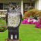 Fake Owl Decoy With Shaking Head Outdoor Garden Bird Scarecrow Decoration 5