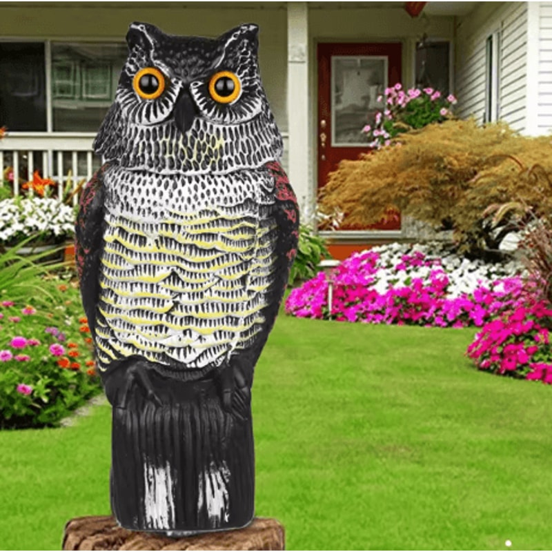 Fake Owl Decoy With Shaking Head Outdoor Garden Bird Scarecrow Decoration 5