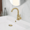 Stainless Steel Golden Basin Faucet European Style Brushed Gold Countertop Faucet For Hot And Cold 2