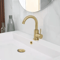 Stainless Steel Golden Basin Faucet European Style Brushed Gold Countertop Faucet For Hot And Cold 2