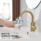 Stainless Steel Golden Basin Faucet European Style Brushed Gold Countertop Faucet For Hot And Cold 5