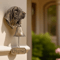 Dog Theme Welcome Doorbell 3D Funny Bulldog Head Cast Iron Resin Hanging Bell 17